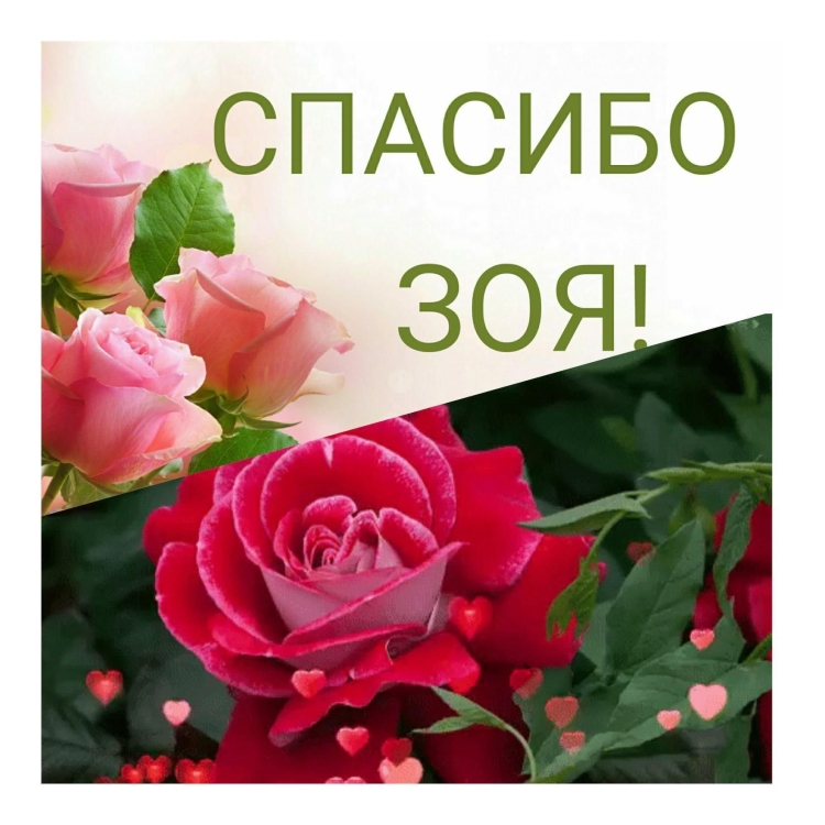 Открытка благодарю