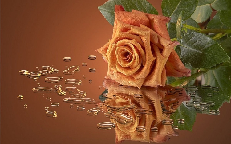 С днём рождения Сергей