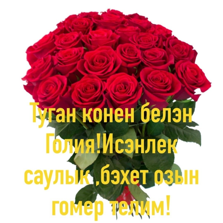 Поздравления с днём рождения Гульсина