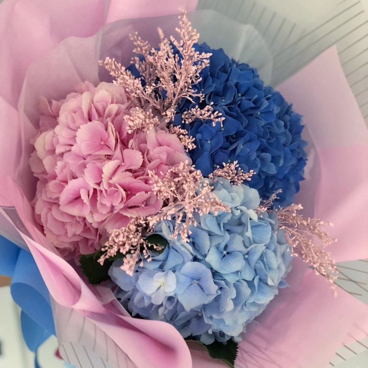 Гортензия сухоцвет букет