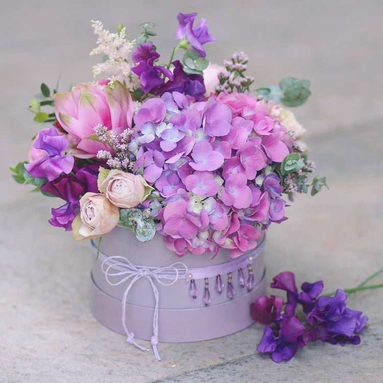 Латирус с розами