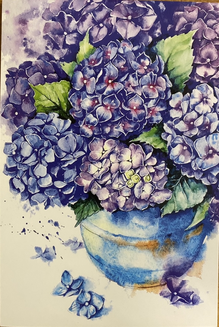 Гортензия открытка