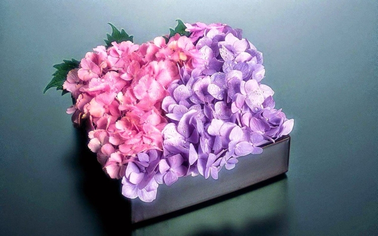 С 8 марта стильные