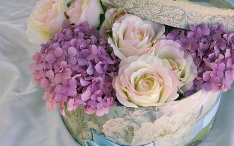 Нежные гортензии с днем рождения