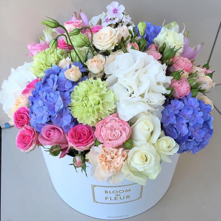 Гортензии в коробке с днем рождения