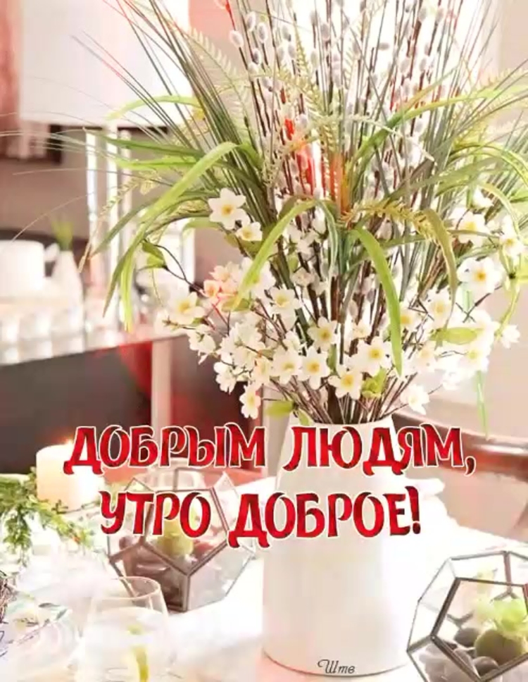 Доброе летнее утро пятницы