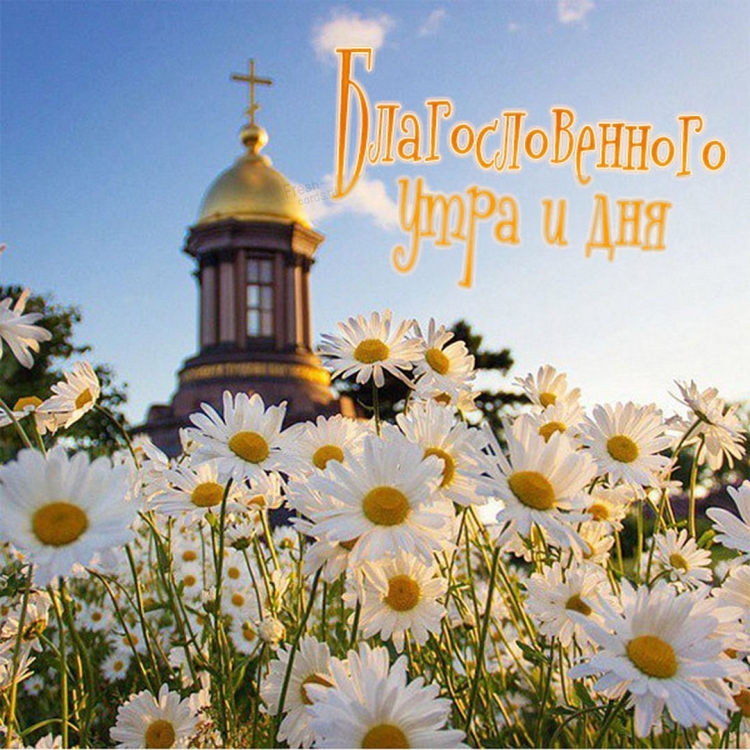 Цветы в храме