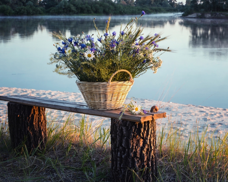 Летнее утро на озере