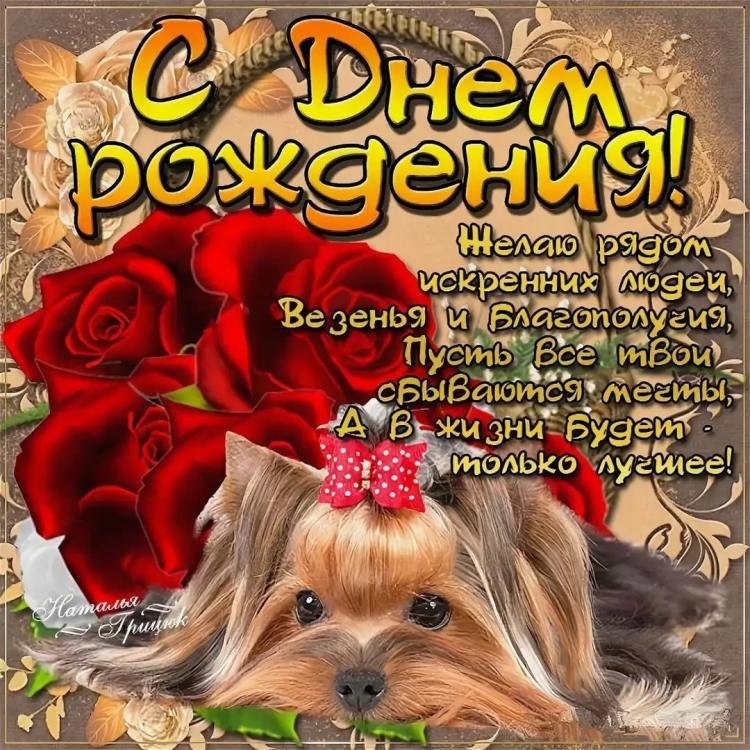 Открытка с Йорком с днем рождения