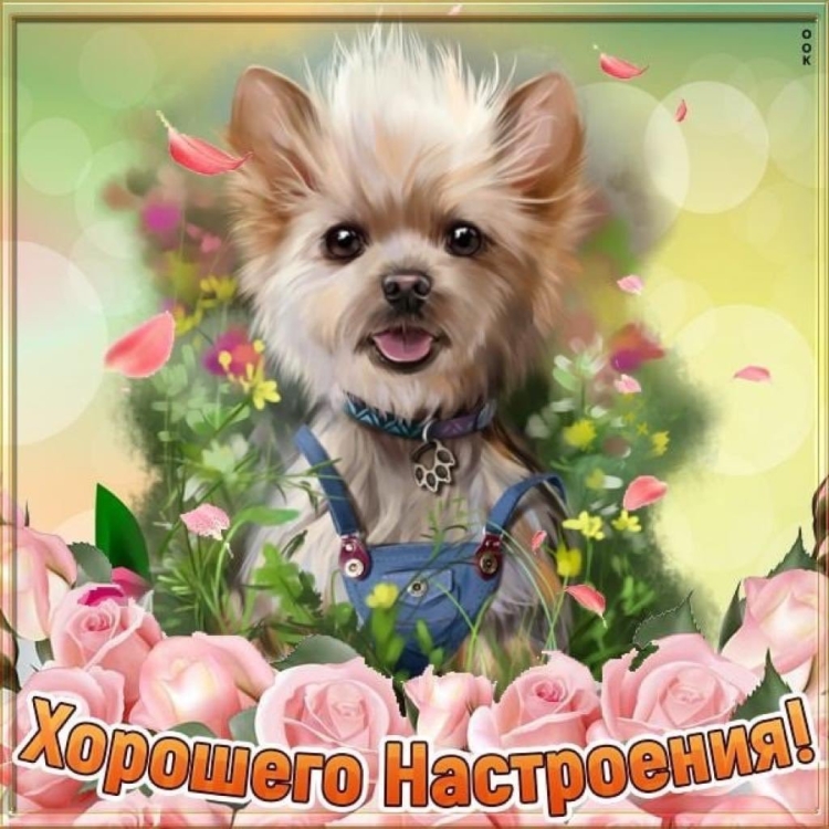 Отличного дня Йорк