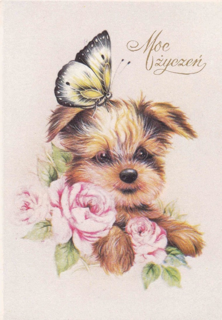 Милые открытки с собаками