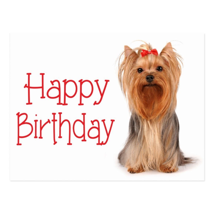 С днем рождения Йорк