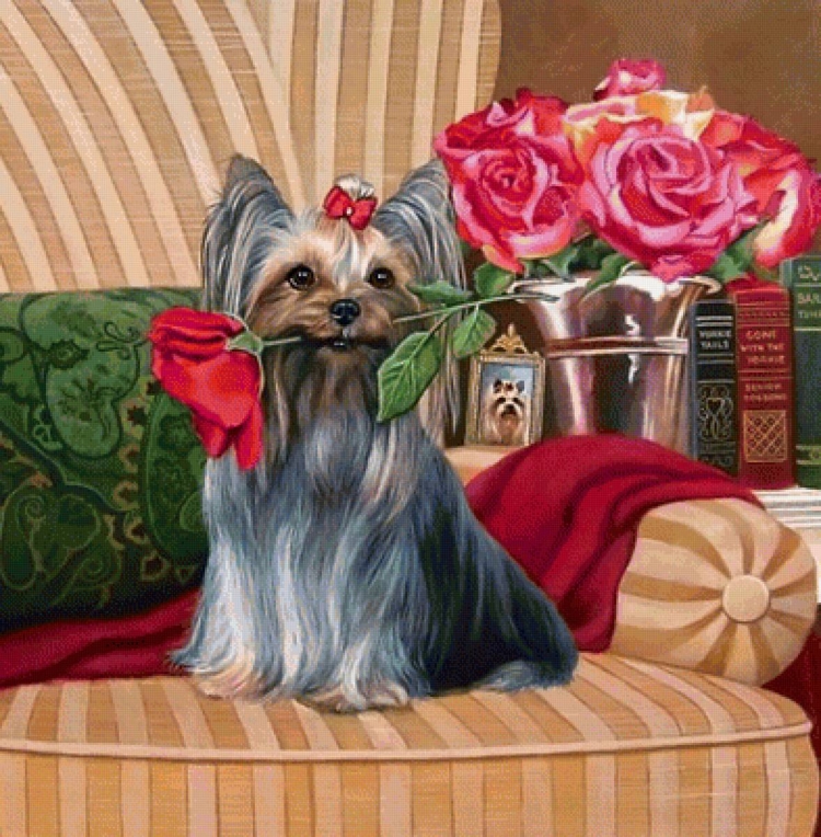 Открытка с днём рождения девушке с йоркширским терьером