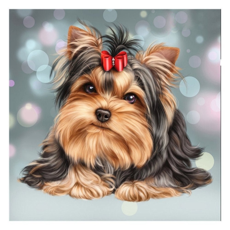 Папертоль Йоркширский терьер