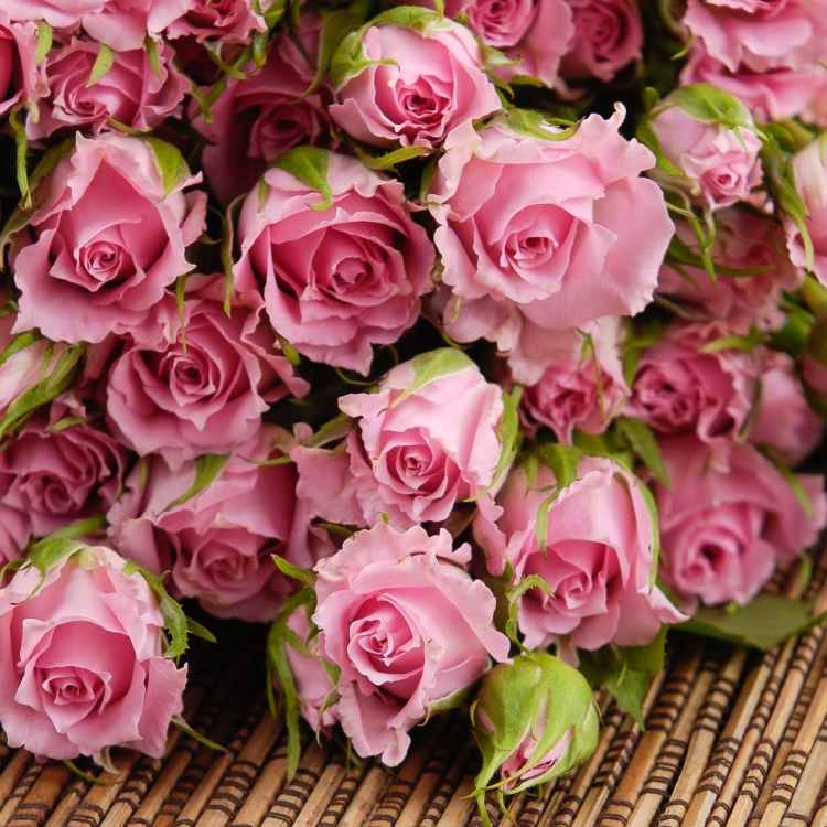 Шикарные цветы