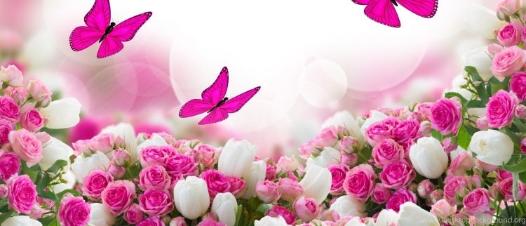 Фон с цветами