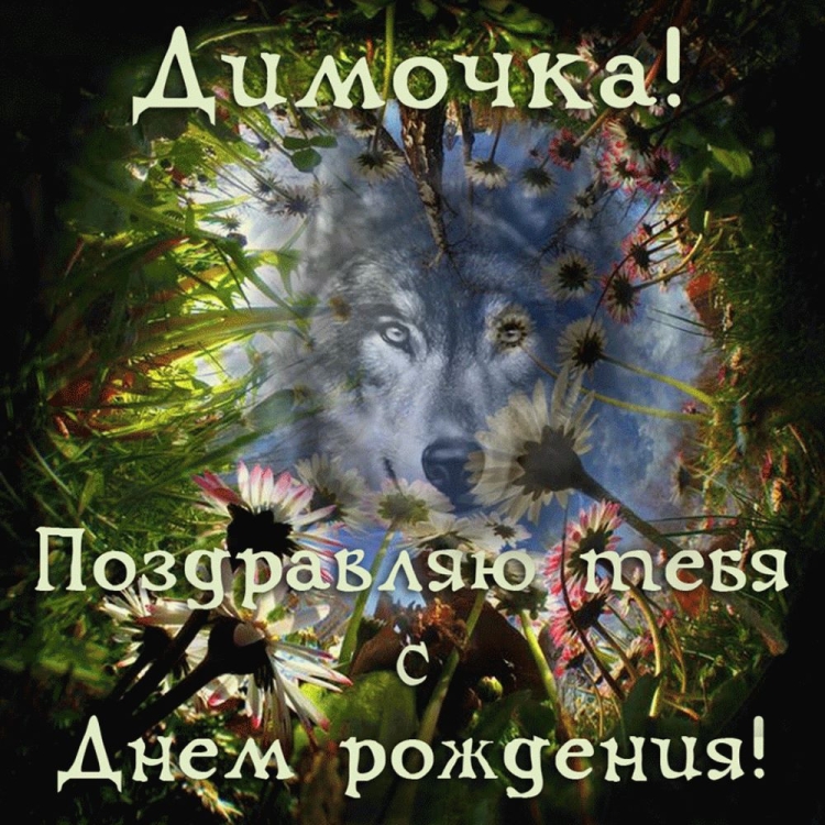 Открытки с днем рождения Димочка