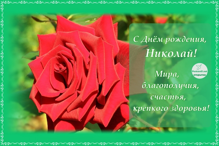 С днём рождения Николай