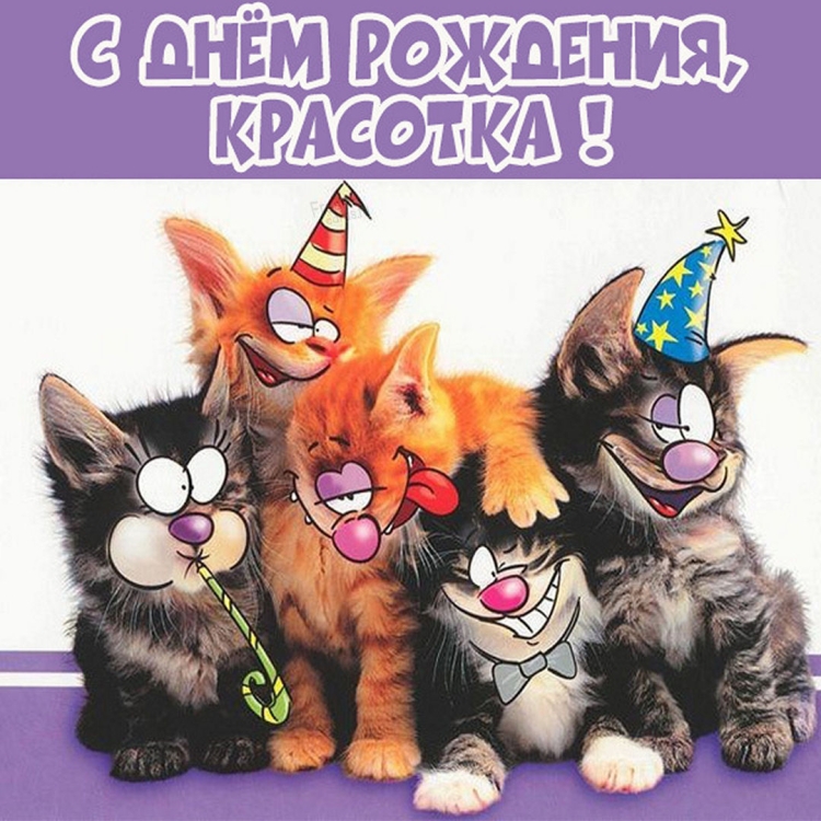 Веселые открытки с днем рождения