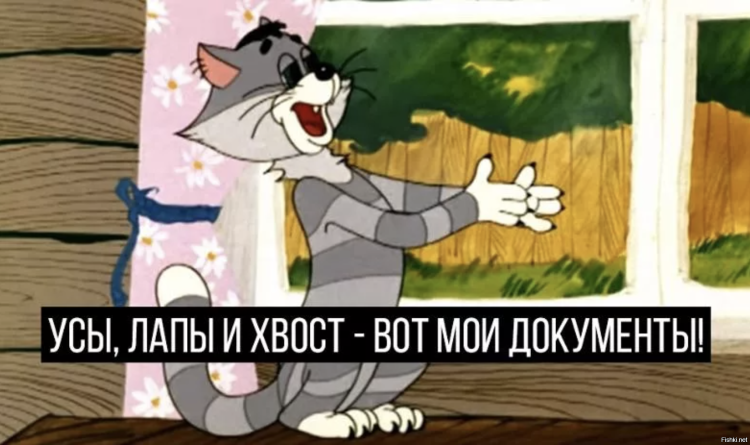 Лапы и хвост вот Мои документы