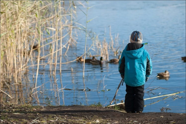 Прогулка возле водоема