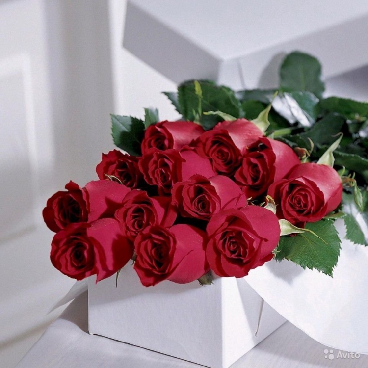 Открытки с днём рождения розы