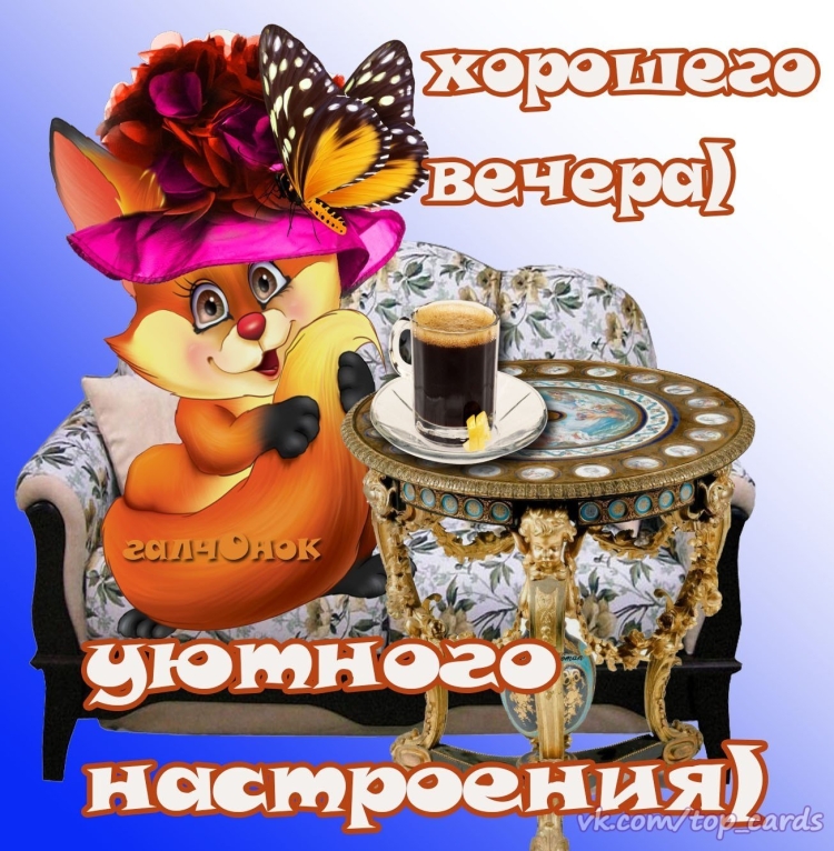 Пожелания доброго вечера с юмором