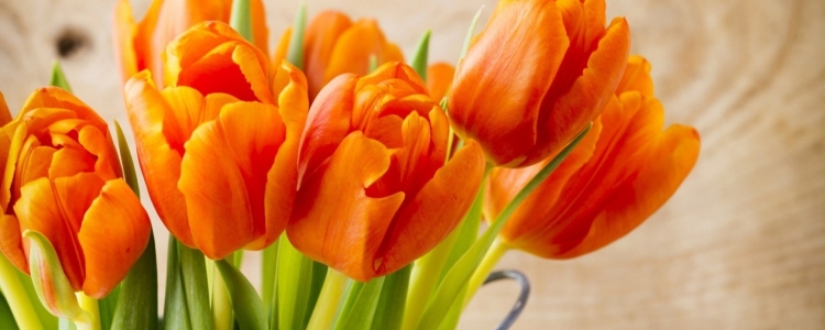 Поздравления с днём рождения Ирине